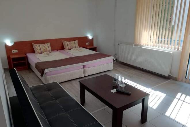 Studio with sofa and balcony 