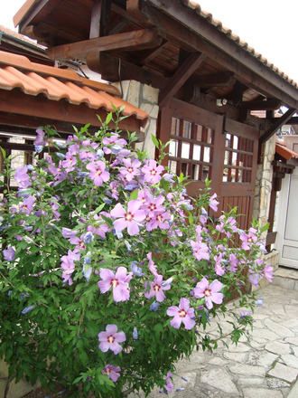 One Bedroom Apartment close to Town Center