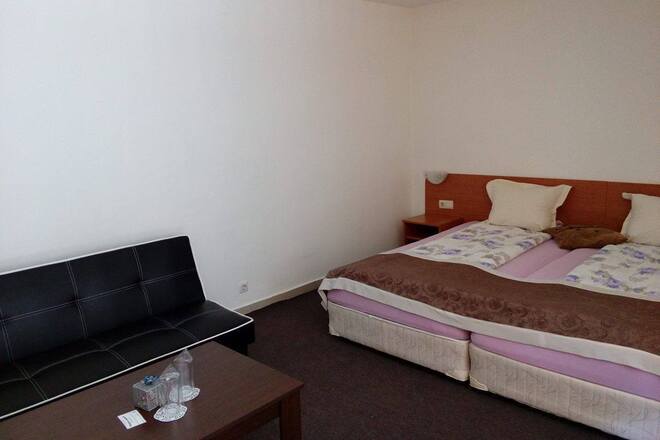 Studio with sofa and balcony 