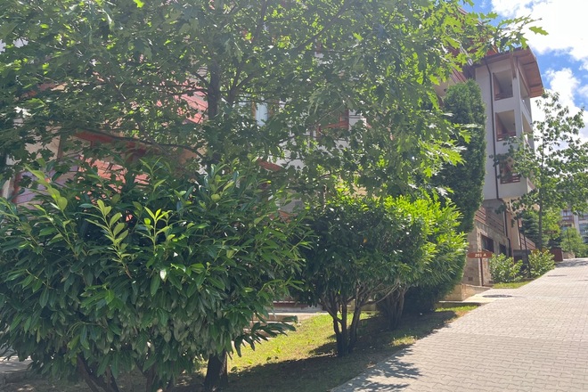 Spacious 1-Bedroom Apartment 